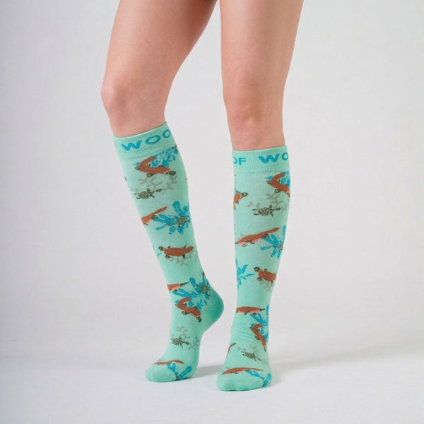 //qa.drwoofapparel.com/cdn/shopifycloud/storefront/assets/no-image-2048-a2addb12_grande.gif
