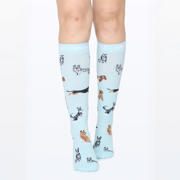 //qa.drwoofapparel.com/cdn/shopifycloud/storefront/assets/no-image-2048-a2addb12_grande.gif