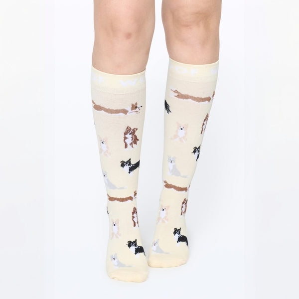 //qa.drwoofapparel.com/cdn/shopifycloud/storefront/assets/no-image-2048-a2addb12_grande.gif