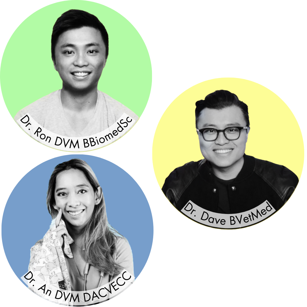 From the Front Lines, For the Front Lines